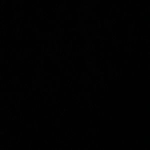 Meet your Posher, Maggie